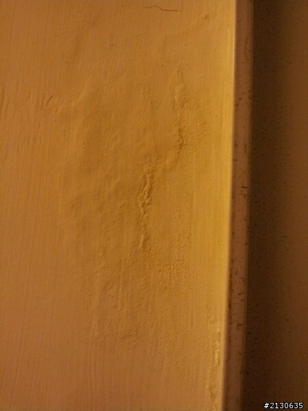 交屋四個月~壁癌?