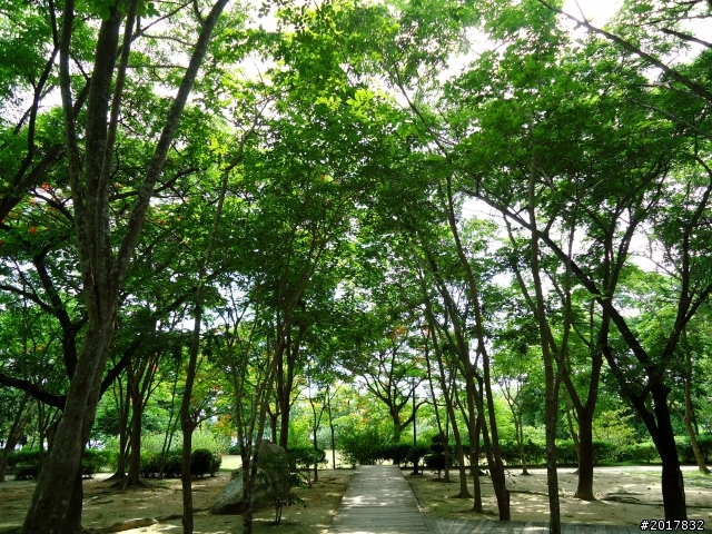 2012-6-1南瀛深度探訪之旅(關廟新光彩繪社區)