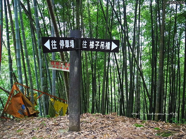 ♥走走逛逛♥ 南投竹山天梯