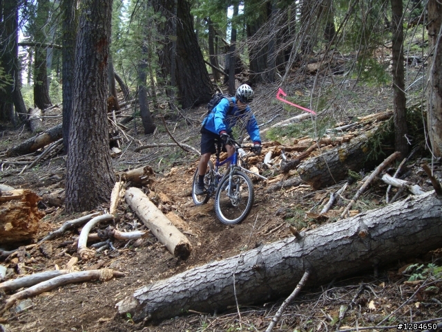 [MTB遊記]  六月殘雪下的超級越野路線 – Downieville downhill