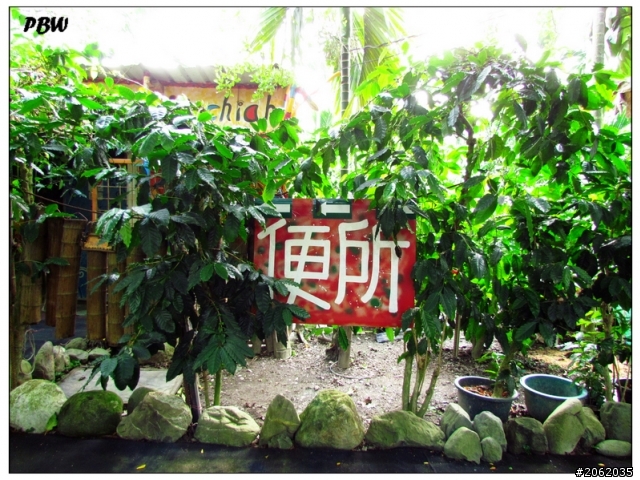 《屏東》沿山公路43K【加走咖啡園】