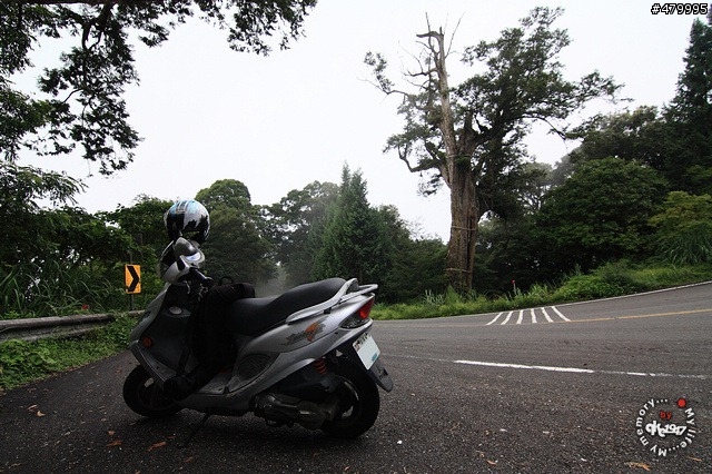 2012-06-24 帶著悲劇色彩的太平山之旅......