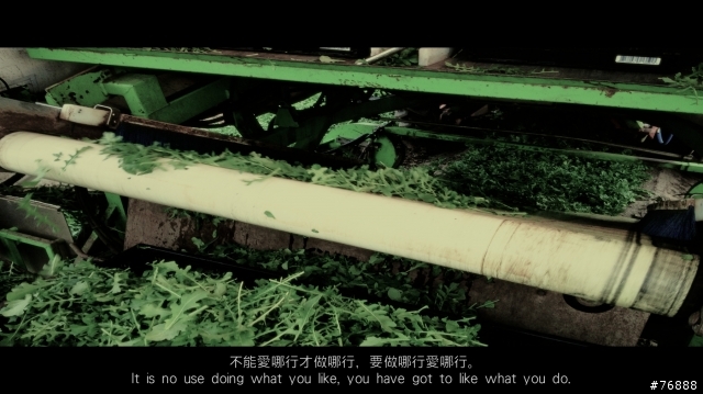 請各位大大幫我評分一下我拍的照片 Part2