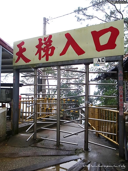 ♥走走逛逛♥ 南投竹山天梯
