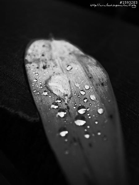 ♥走走逛逛♥ 南投竹山天梯