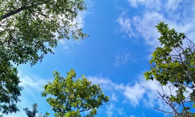 I<3HTC - HTC One V - 拍照合集9/26隨手拍