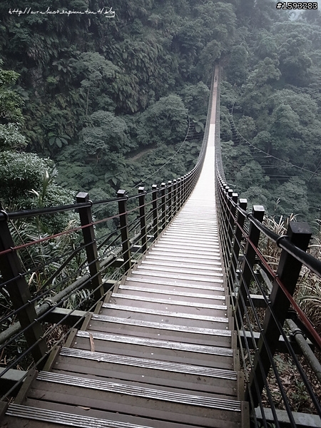 ♥走走逛逛♥ 南投竹山天梯
