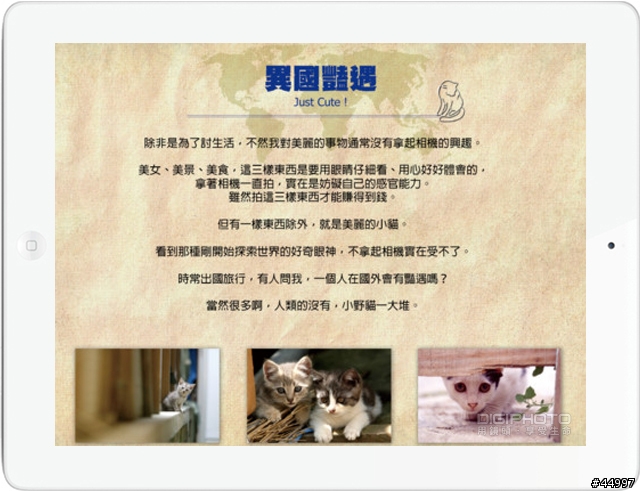 [30組 Promo code] 當世界只剩下貓 for iPad