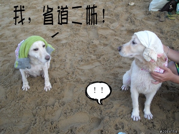 省道一姐輕省生活，Beautiful Sunday