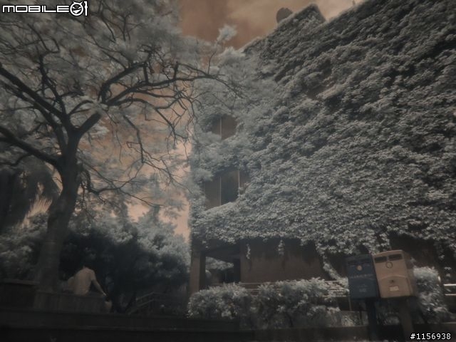 溫州街的這頭到那頭-紅。外線(Nikon P510)