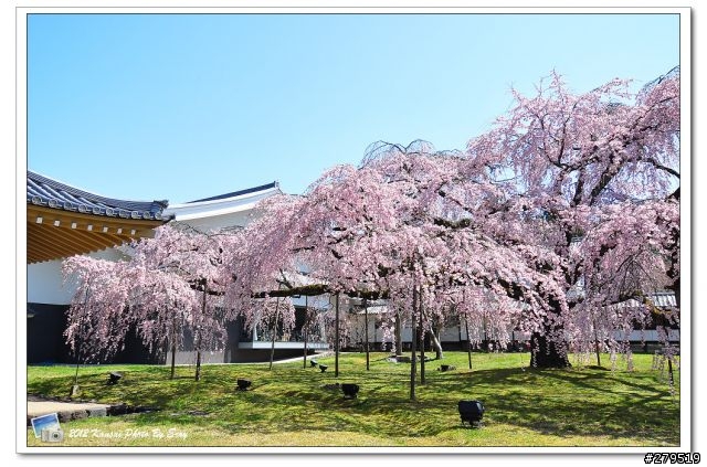 [遊記] 關西春櫻 Day6 蹴上鐵道 / 醍醐寺 靈寶館