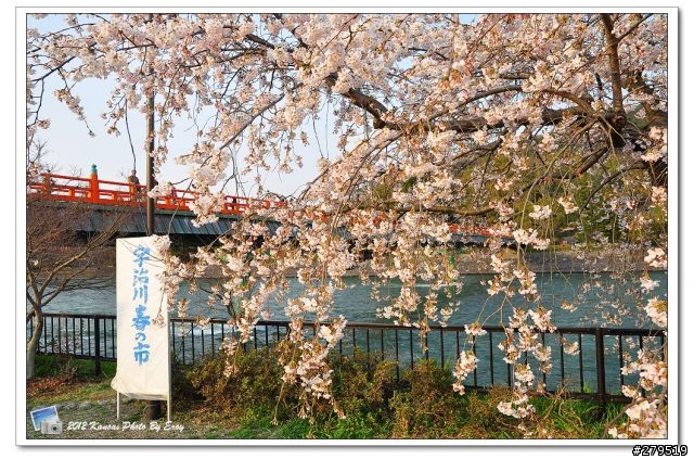 [遊記] 關西春櫻 Day6 醍醐寺 伽藍 / 宇治