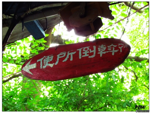 《屏東》沿山公路43K【加走咖啡園】