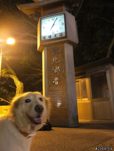 省道一姐輕省生活，Beautiful Sunday