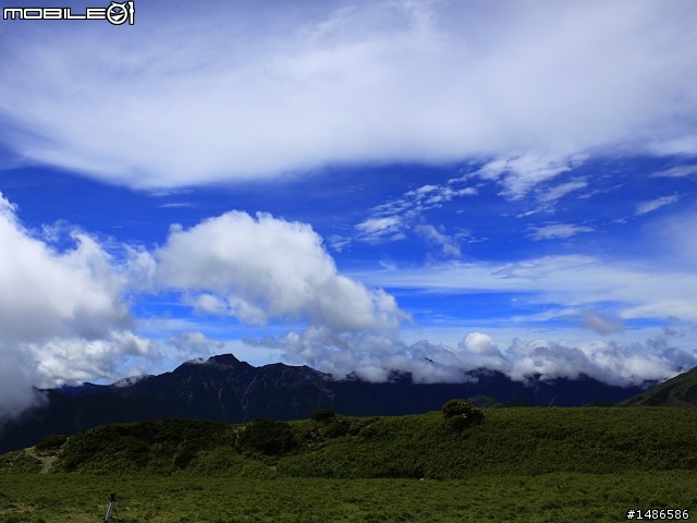 20120609合歡北峰花況(更新完畢)