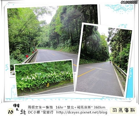 (更新完畢)兩個女生一隻狗●16hr *雙北+司馬庫斯* (360km)