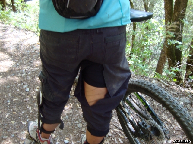 [MTB遊記]  六月殘雪下的超級越野路線 – Downieville downhill