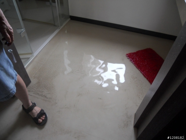 慘~消防灑水頭爆裂，我家淹水了~!!