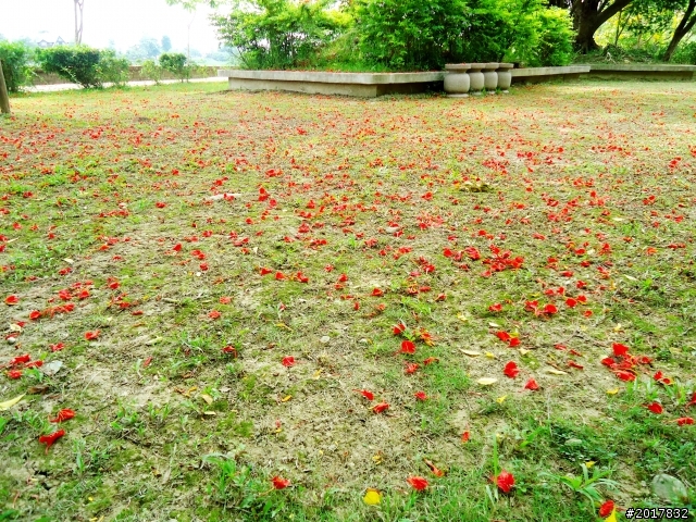 2012-6-1南瀛深度探訪之旅(關廟新光彩繪社區)