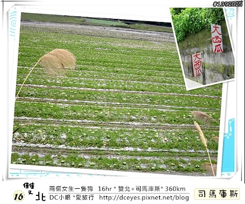 (更新完畢)兩個女生一隻狗●16hr *雙北+司馬庫斯* (360km)