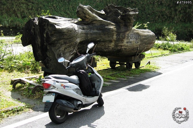 2012-06-24 帶著悲劇色彩的太平山之旅......
