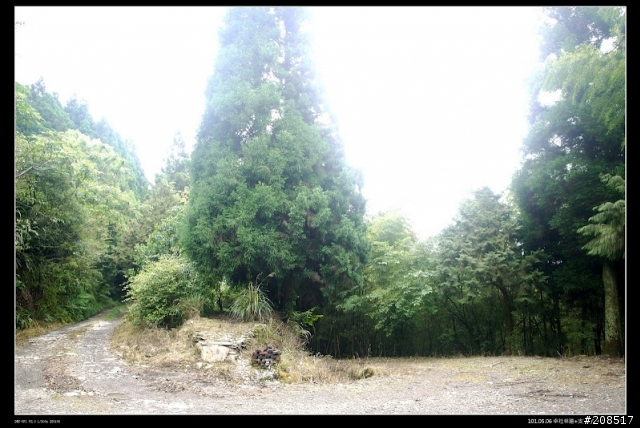2012.05.06 卓社林道