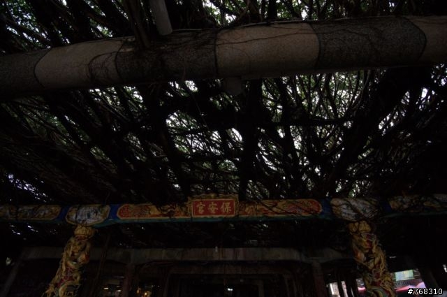 簡單消遙澎湖遊