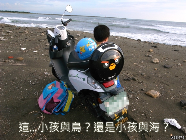 【使用記錄】Angry Bird造型小行李箱_KAB-B-132