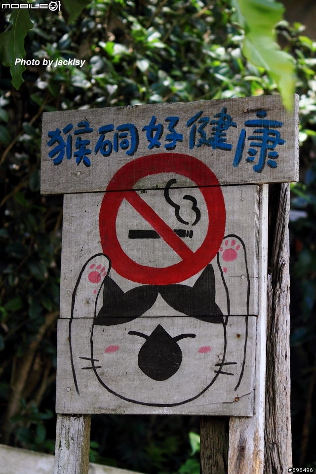 再訪"沒有猴的山城"-侯硐