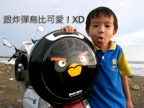 【使用記錄】Angry Bird造型小行李箱_KAB-B-132