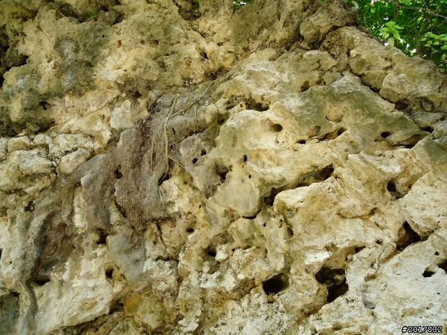 2012-7-10高雄燕巢惡地形絕地逢生險象之旅