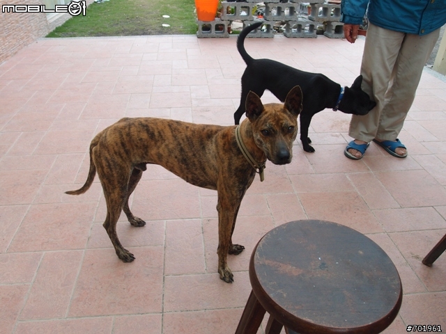 [環島] 2012.02.16~03.01 小折環島遊記(文長 and 補圖)