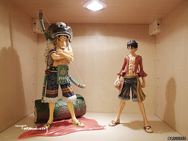 [ 開箱 ] D.P.C.F vol.8 森林戰士 魯夫 山羊頭 ver. ( 圖多)