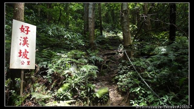 4＋2＋2遊水田林道支線+北得拉曼神木步道