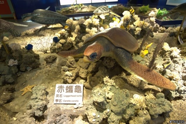 簡單消遙澎湖遊