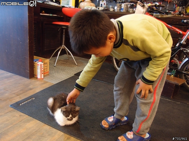 [環島] 2012.02.16~03.01 小折環島遊記(文長 and 補圖)