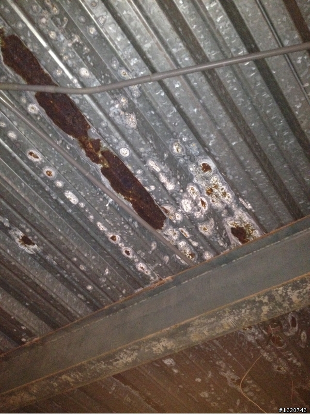 求救!!天花板天花板鏽蝕處理~~