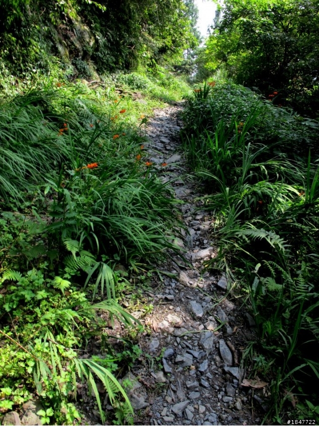 [影片]夏、18度C、羅山林道南線秘境-2012-0708