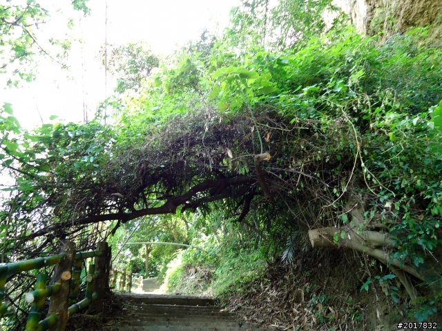 2012-7-10高雄燕巢惡地形絕地逢生險象之旅