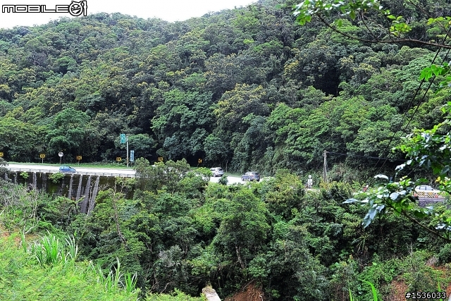 【給Luxgen車主tcwin大大祝福】等待、捉猴、狗仔、相見、美景、美酒，祝福tcwin大大新疆發展順利！