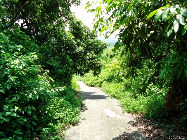 2012-7-10高雄燕巢惡地形絕地逢生險象之旅