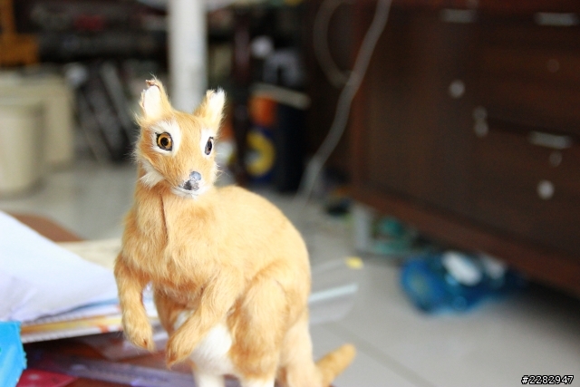 關於人像、風景、夜拍等的設定值