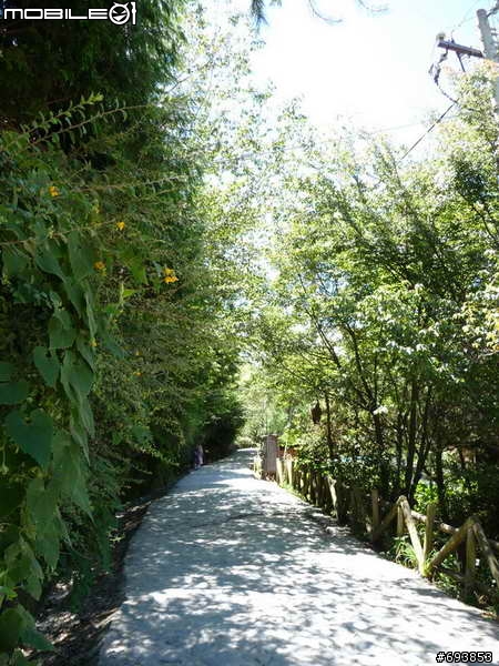 2012-07-21 老綿羊的司馬庫斯探路行