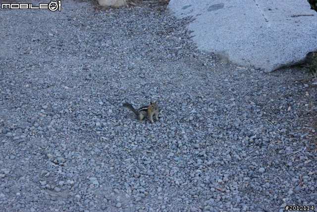 加州旅行箱日記 ~ Lake Tahoe