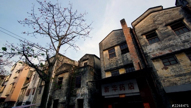 【信念】單人雙騎環中國獨旅 -9- 恩平市