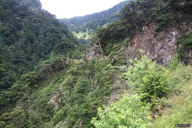 潑墨畫般的景色-合歡溪步道