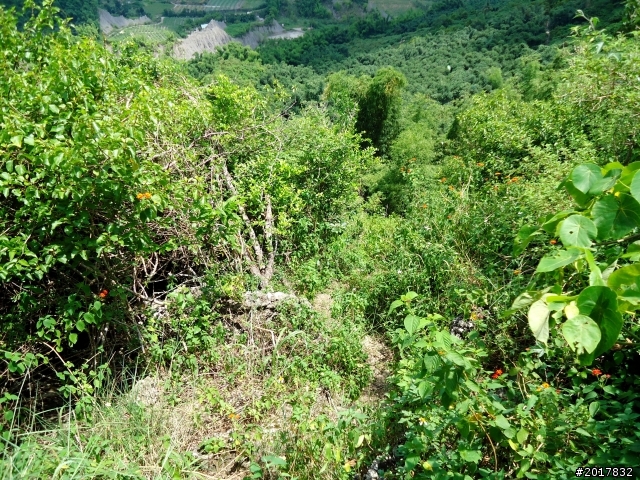 2012-7-10高雄燕巢惡地形絕地逢生險象之旅