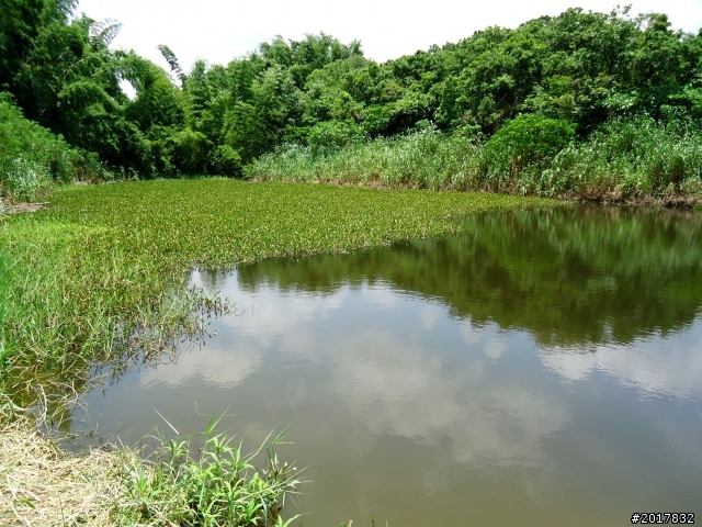 2012-7-10高雄燕巢惡地形絕地逢生險象之旅