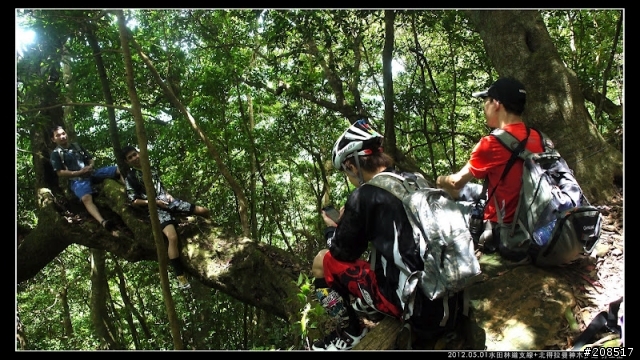 4＋2＋2遊水田林道支線+北得拉曼神木步道