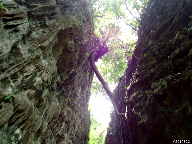2012-7-10高雄燕巢惡地形絕地逢生險象之旅